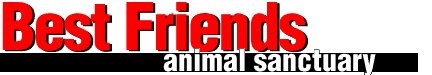 Best Friends Animal Sanctuary