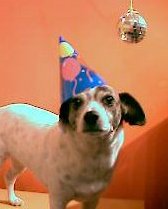 Happy New Year!