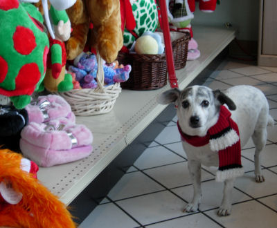 Pet Outfitters