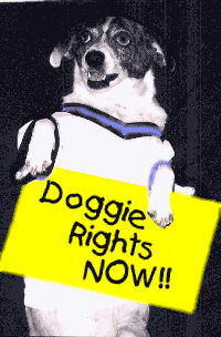Doggie Rights Now!