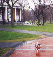New Haven