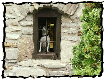 The opressed canine