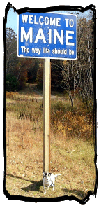 Maine!
