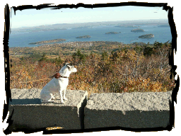 Cadillac Mtn.