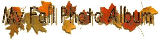 My Fall Photo Album