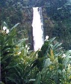 Very pretty waterfall