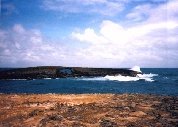 Shore on Oahu
