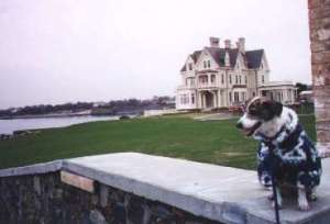 Kylie's future home