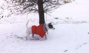 Snow at home