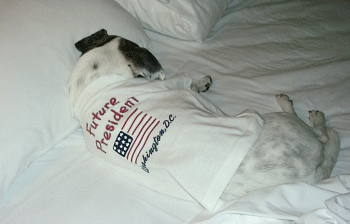 Worn out