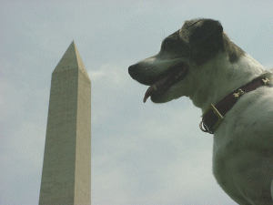 Visiting the Monument