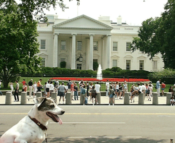 Kylie at the White House