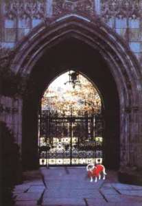 Yale