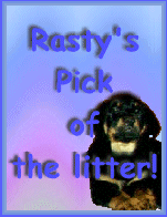Rasty's Pick of the Litter Award