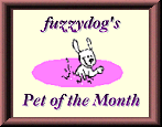 Cool Pet of the Month!