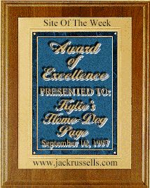 Jack Russell's Online Site of the Week
