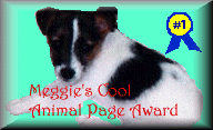 Megs Cool Site Award